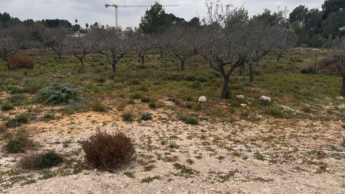 Terreno en Bétera, Comunidad Valenciana, España 2 - 17238169