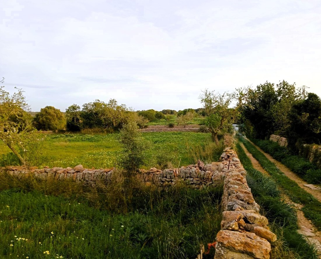 Santanyi, Balearic Islands, Spain 3 - 16186078