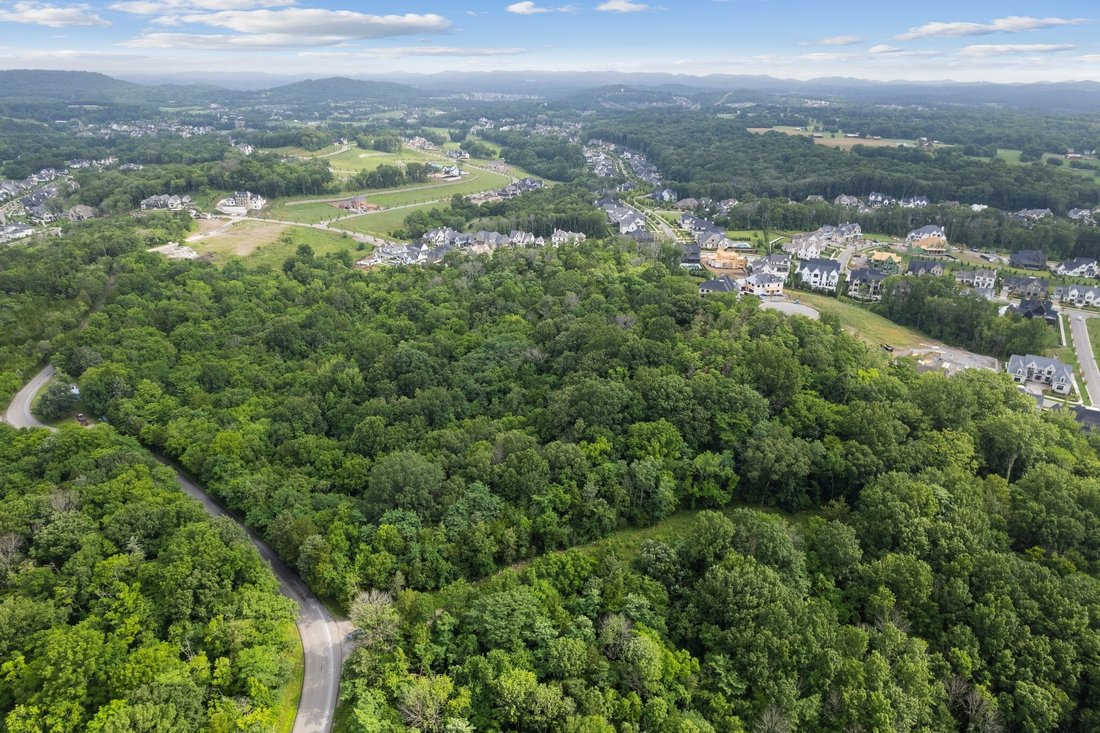 Land in College Grove, Tennessee, United States 3 - 17237788