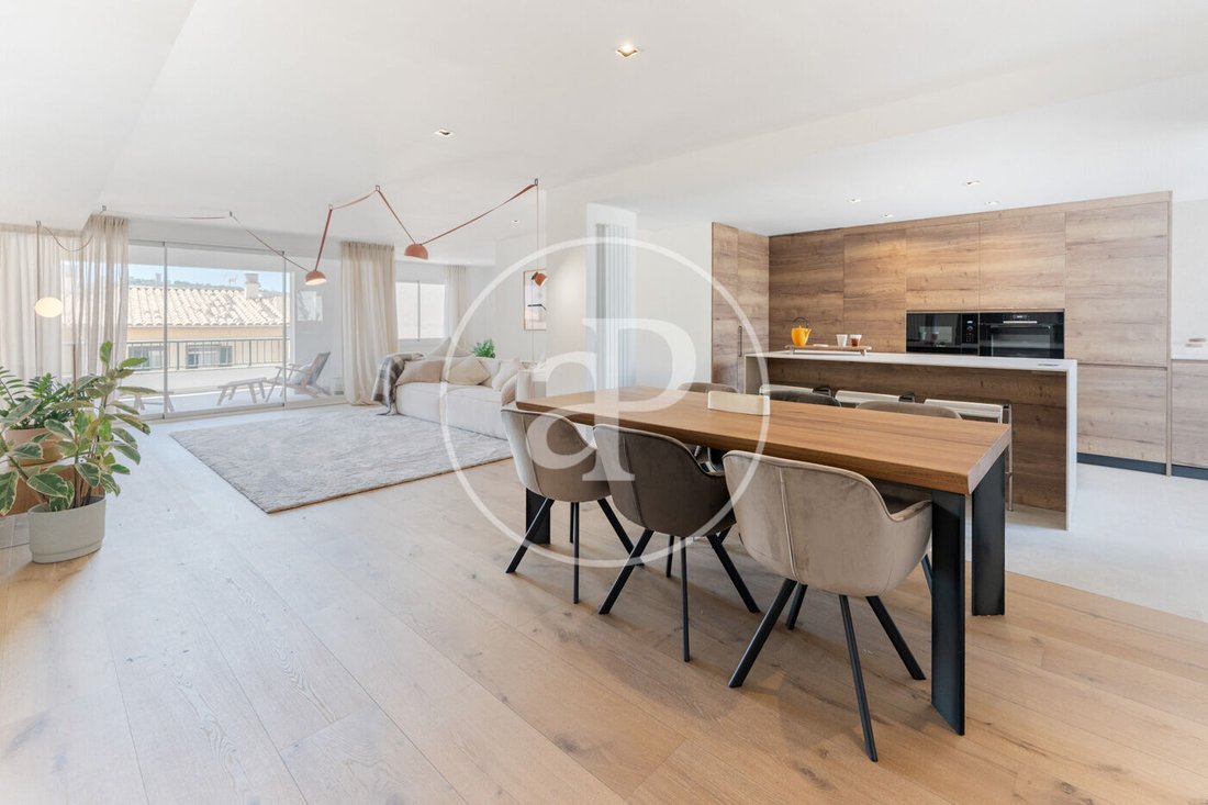 Apartment in Palma, Balearic Islands, Spain 1 - 17238627