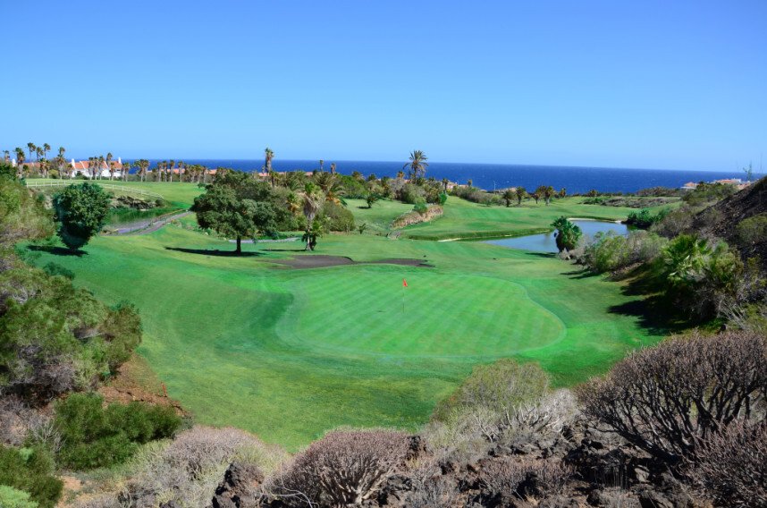 Bungalow in San Miguel de Abona, Canary Islands, Spain 3 - 17239519
