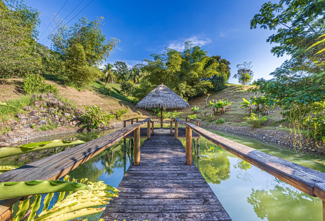 House in Savegre de Aguirre, Puntarenas Province, Costa Rica 5 - 17238965