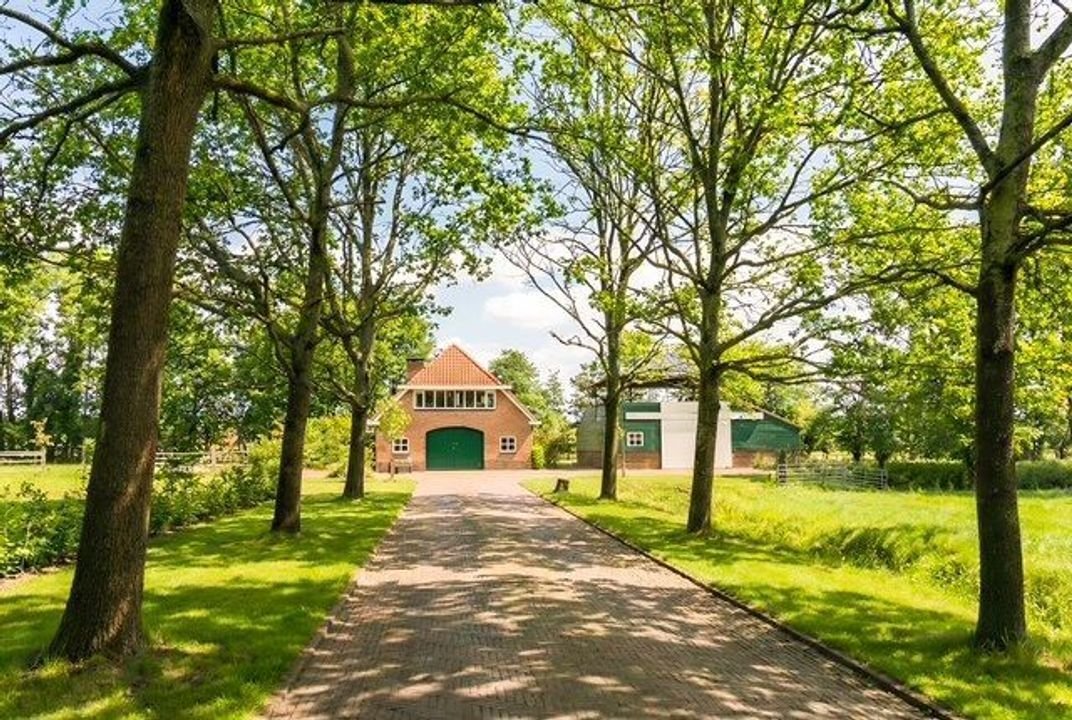 Farm Ranch in Bloemendaal, North Holland, Netherlands 2 - 17239077