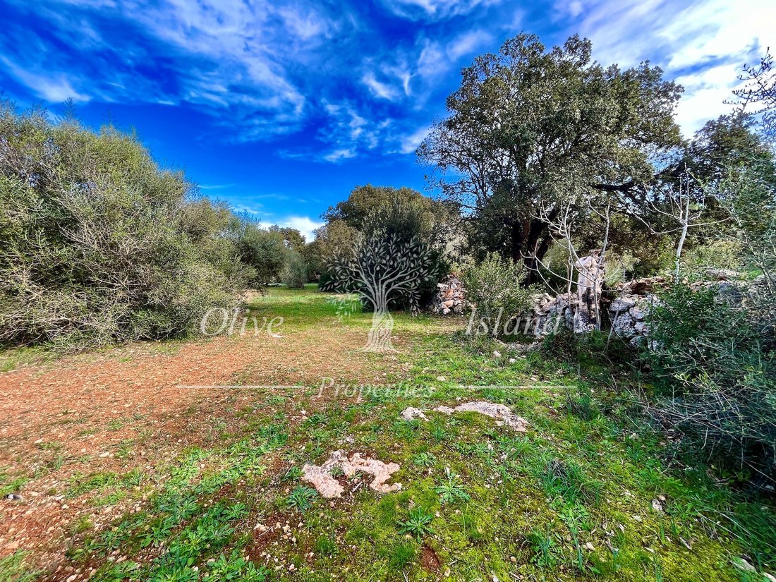House in Sencelles, Balearic Islands, Spain 5 - 17237306