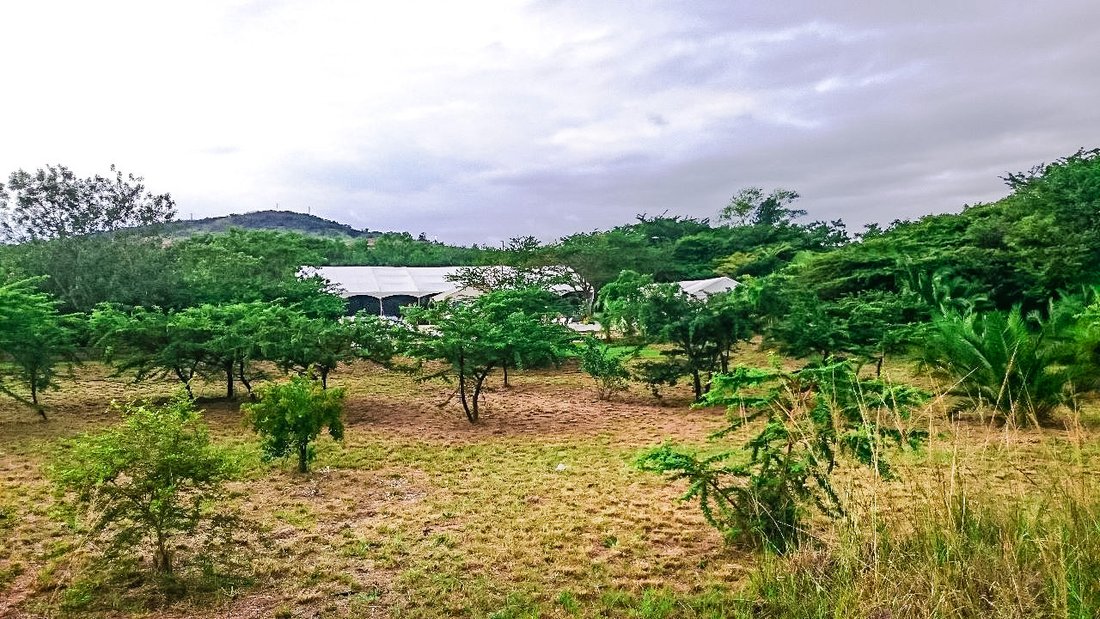 Farm Ranch in Eshowe, KwaZulu-Natal, South Africa 3 - 17239003