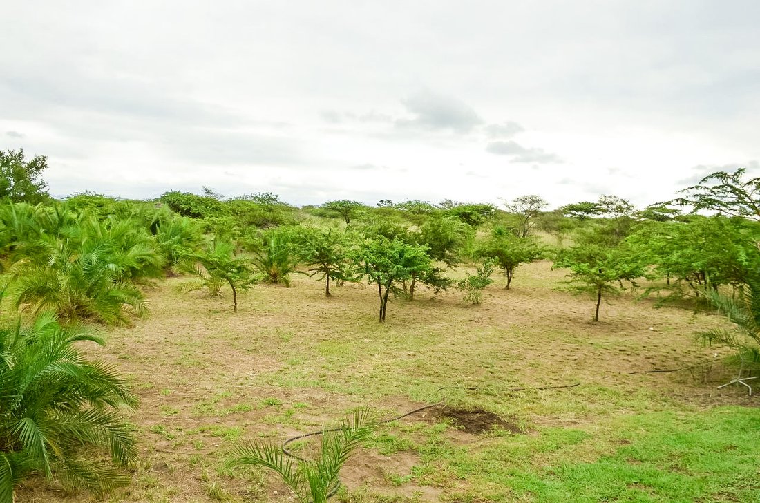 Farm Ranch in Eshowe, KwaZulu-Natal, South Africa 4 - 17239003