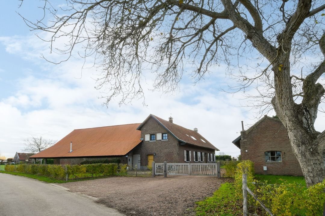 Farm Ranch in Roosteren, Limburg, Netherlands 4 - 17239363