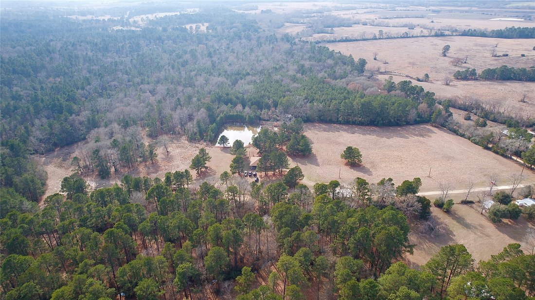 Farm Ranch in Lovelady, Texas, United States 1 - 17071620
