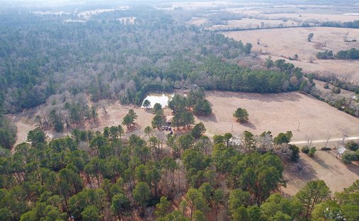 Farm Ranch in Lovelady, Texas, Vereinigte Staaten 1