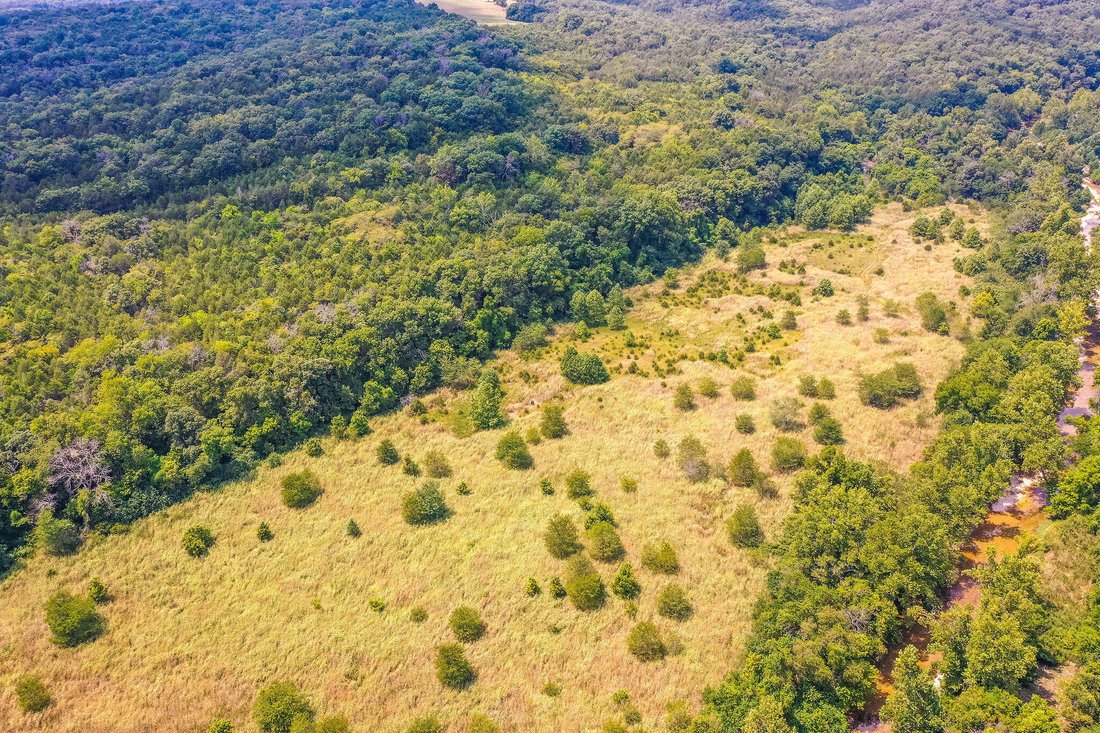 Land in Walnut Shade, Missouri, United States 5 - 17239335