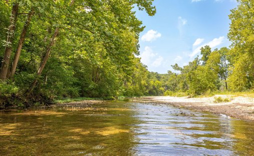 Land in Walnut Shade, Missouri, Vereinigte Staaten 1