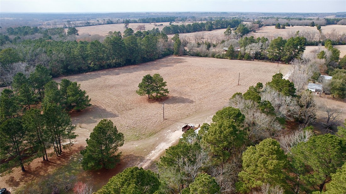 Farm Ranch in Lovelady, Texas, United States 4 - 17071620
