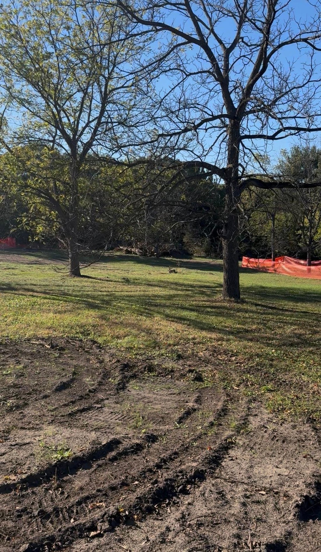 House in Anoka, Minnesota, United States 2 - 17239278