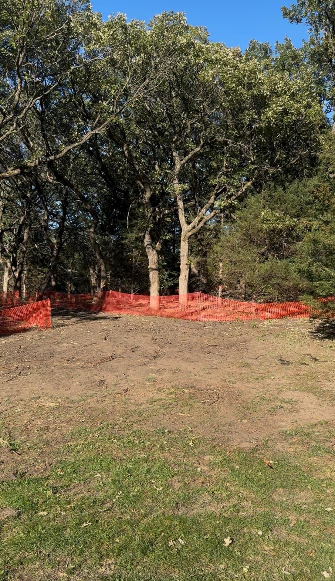 House in Anoka, Minnesota, United States 5 - 17239278