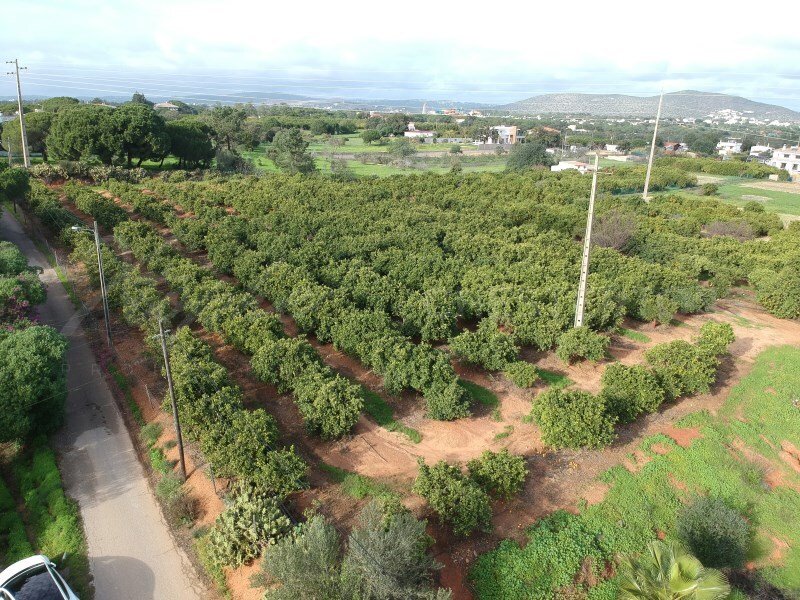 Quarteira, Algarve, Portugal 2 - 17240211