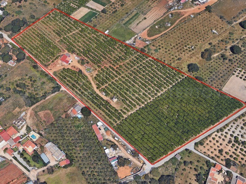 Quarteira, Algarve, Portugal 3 - 17240211