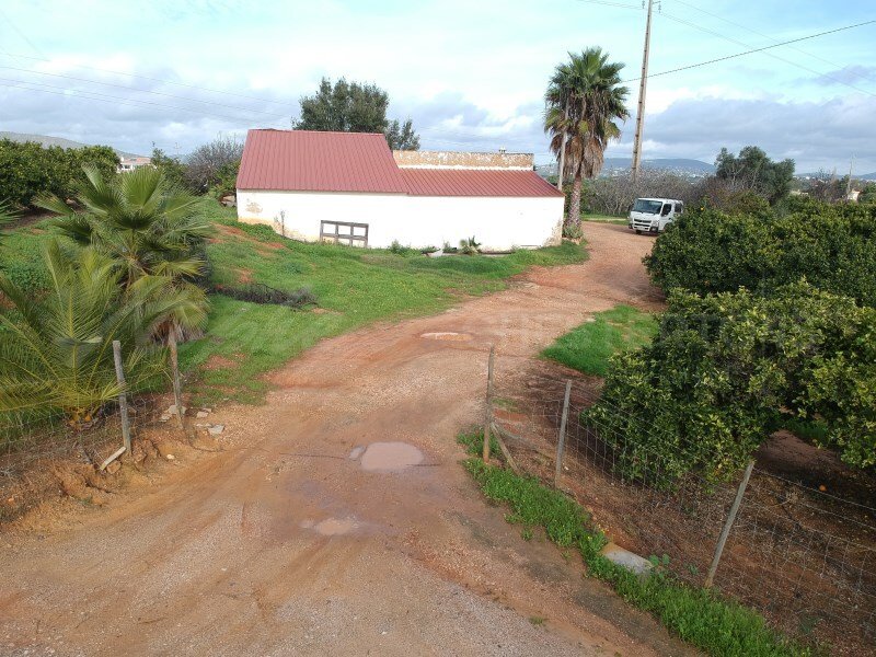 Quarteira, Algarve, Portugal 5 - 17240211