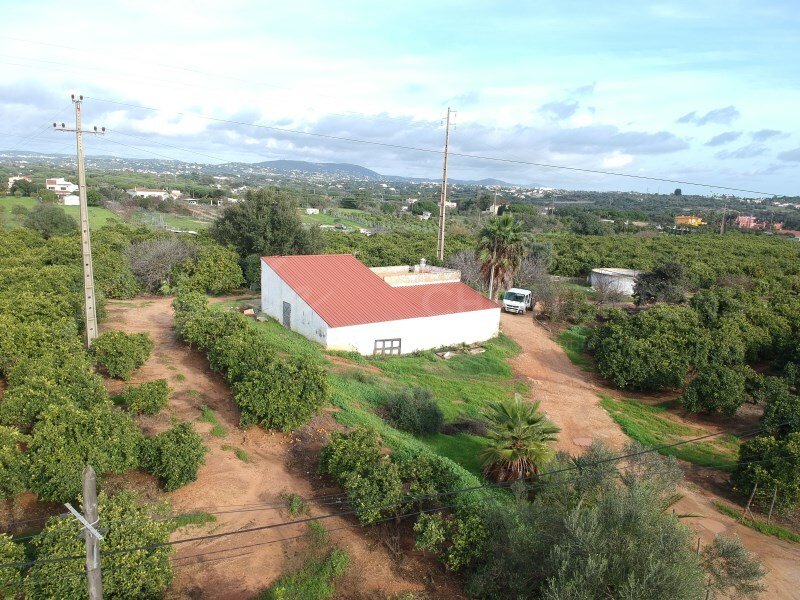 Quarteira, Algarve, Portugal 4 - 17240211