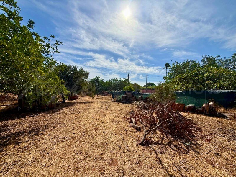 Villa in Almancil, Algarve, Portugal 3 - 17240733