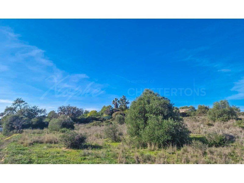 Almancil, Algarve, Portugal 3 - 17239901