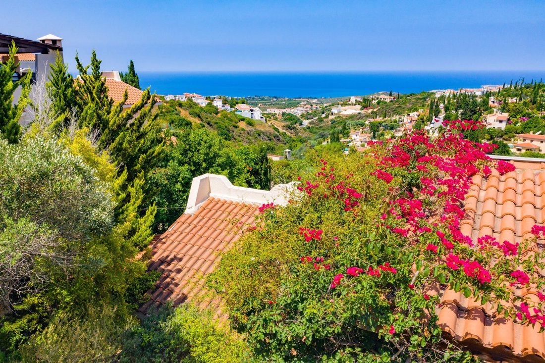 Villa in Tala, Paphos, Cyprus 3 - 17239659