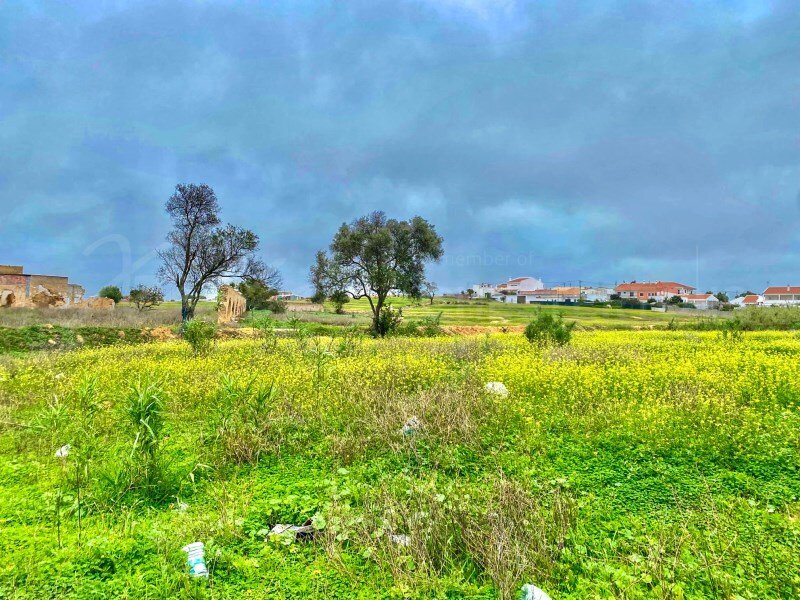 Faro (Se e Sao Pedro), Algarve, Portugal 3 - 17239935