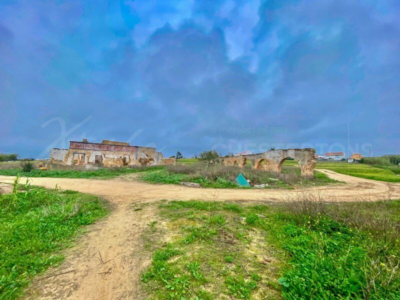 Faro (Se e Sao Pedro), Algarve, Portugal 1 - 17239935