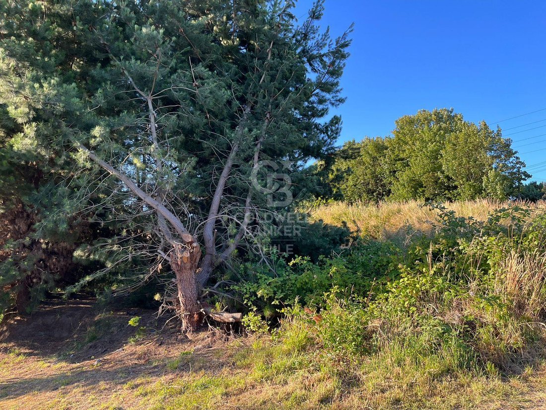 Land in Osorno, Los Lagos, Chile 2 - 17239587