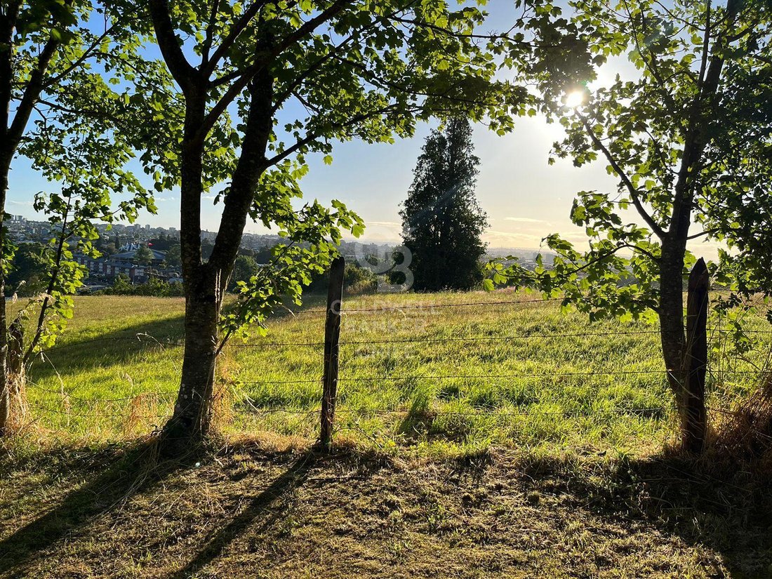 Land in Osorno, Los Lagos, Chile 5 - 17239587