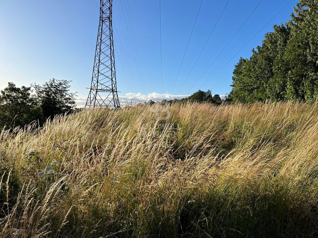 Land in Osorno, Los Lagos, Chile 3 - 17239587