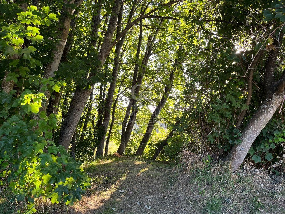Land in Osorno, Los Lagos, Chile 4 - 17239587