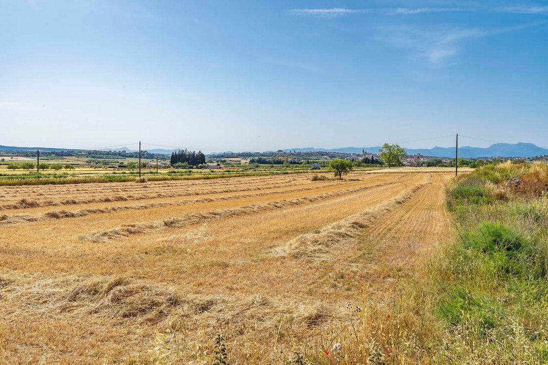 Finca in Montuiri, Balearic Islands, Spain 3 - 17241896