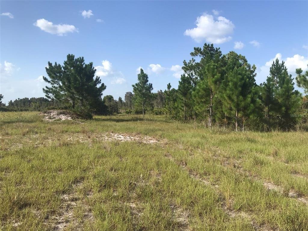 Land in Punta Gorda, Florida, United States 4 - 17242196