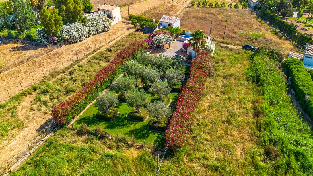 Finca in Port d'Andratx, Andratx, Balearic Islands 4 - 17241904