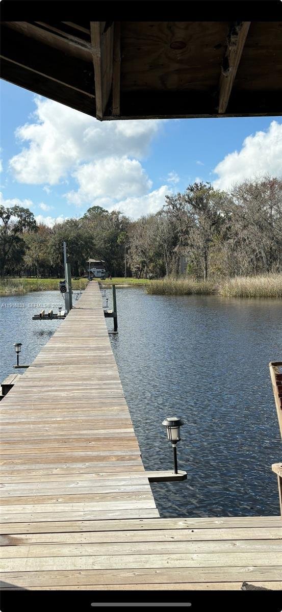 House in Green Cove Springs, Florida, United States 4 - 17242522