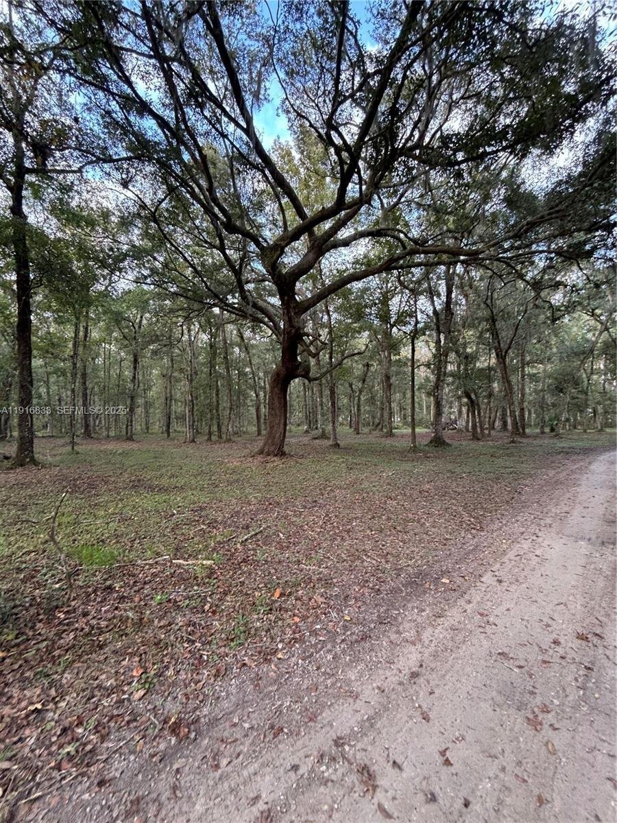 House in Green Cove Springs, Florida, United States 5 - 17242522