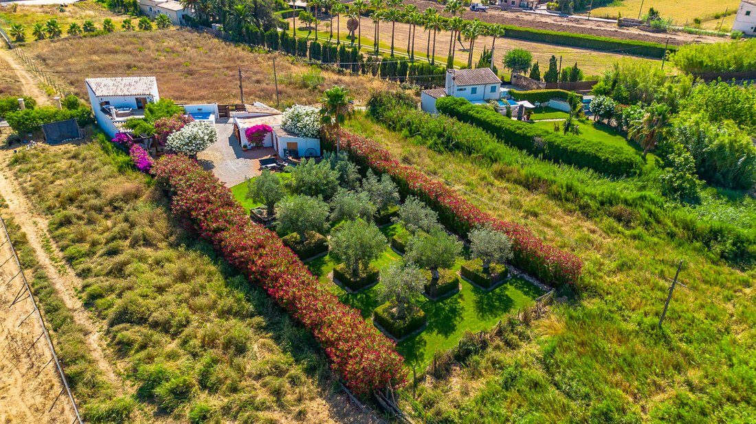 Finca in Port d'Andratx, Andratx, Balearic Islands 3 - 17241904