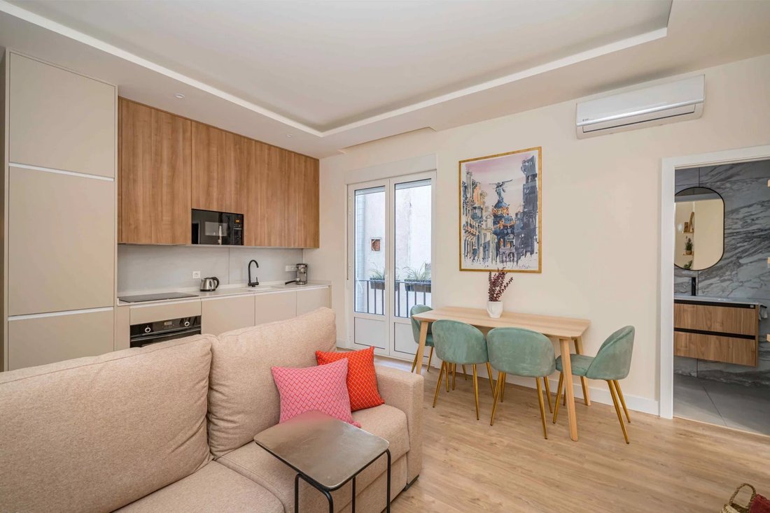 Apartment in Centro, Madrid, Spain 1 - 17241748