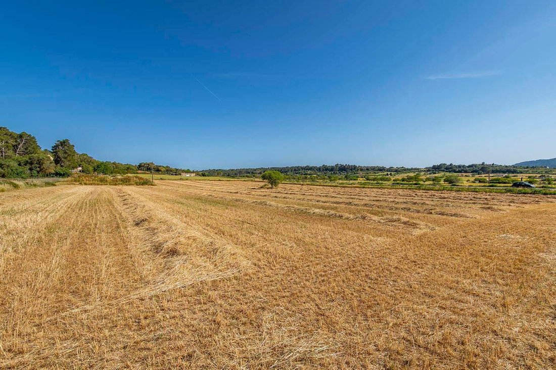 Finca in Montuiri, Balearic Islands, Spain 4 - 17241896