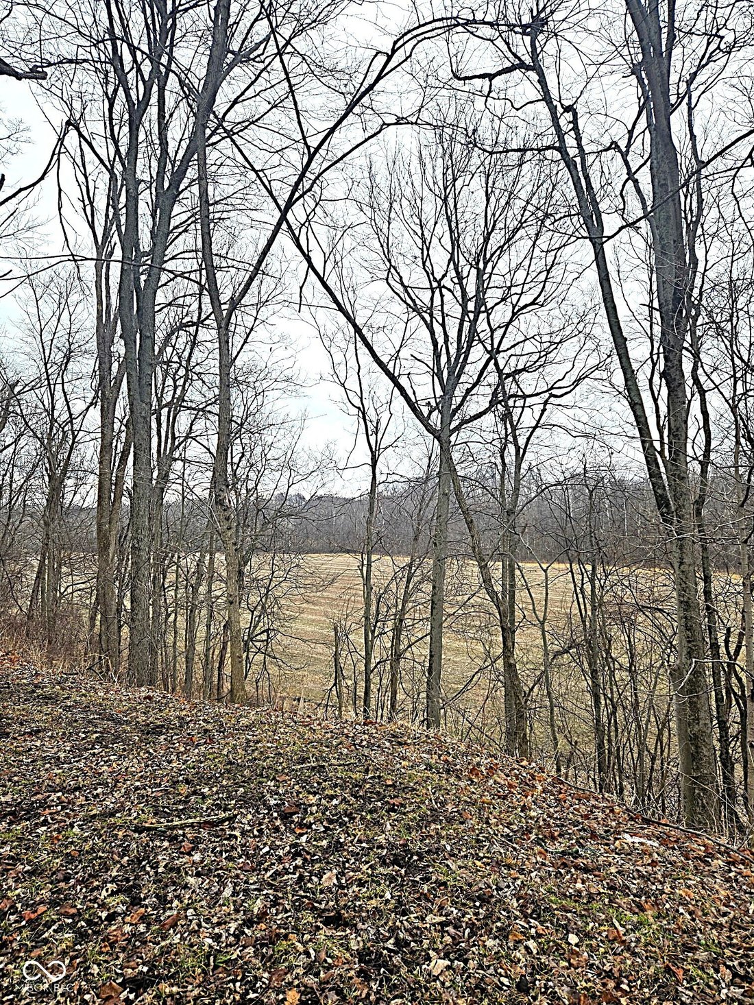 Farm Ranch in Bainbridge, Indiana, United States 1 - 17244337