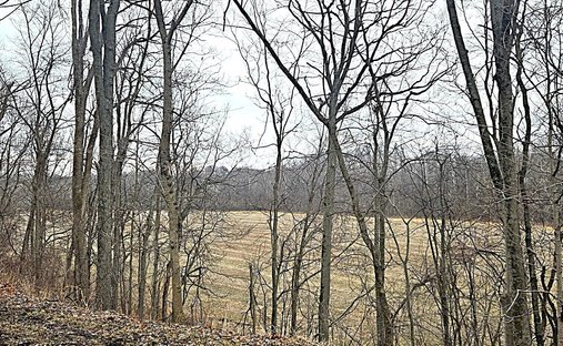 Farm Ranch in Bainbridge, Indiana, United States 1