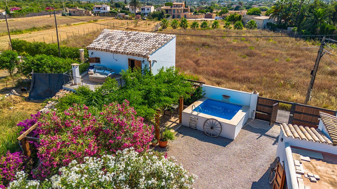 Finca in Port d'Andratx, Andratx, Balearic Islands 5 - 17241904