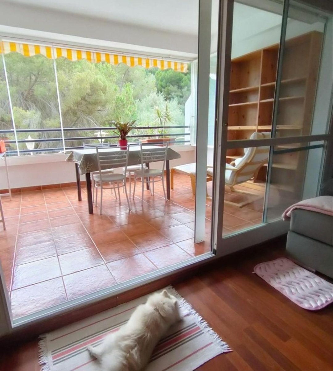 Chalet in Mijas, Andalusia, Spain 4 - 17243642