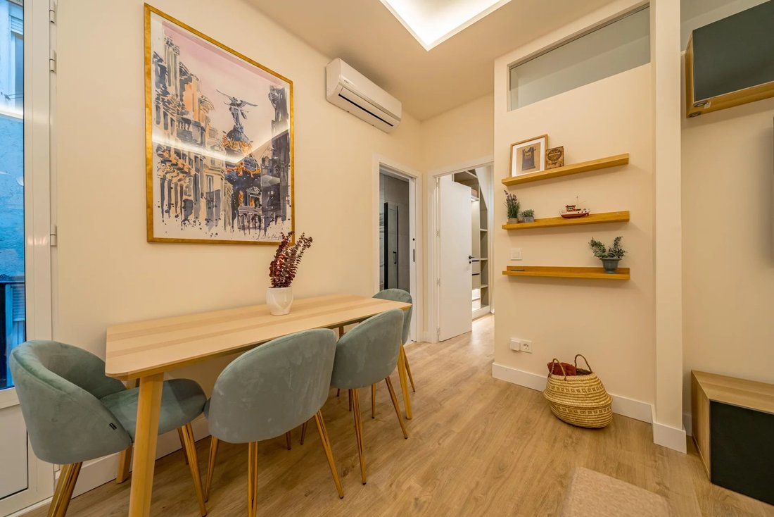 Apartment in Centro, Madrid, Spain 5 - 17241748