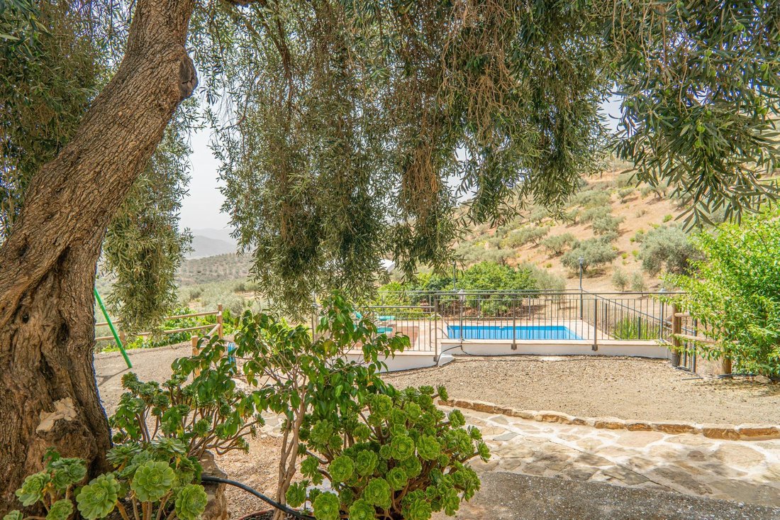 Land in Colmenar, Andalusia, Spain 1 - 17243898