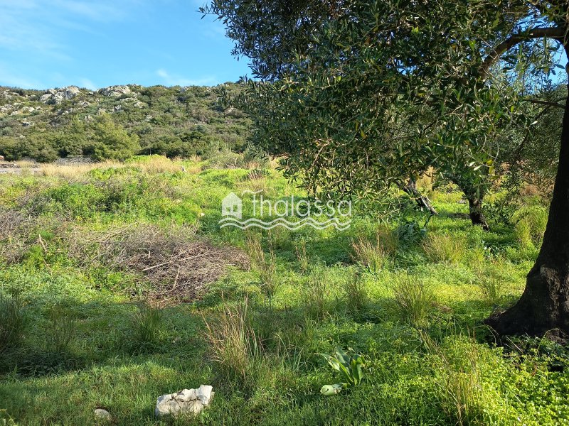 Land in Argostoli, Peloponnese, Western Greece and the Ionian, Greece 4 - 17240822