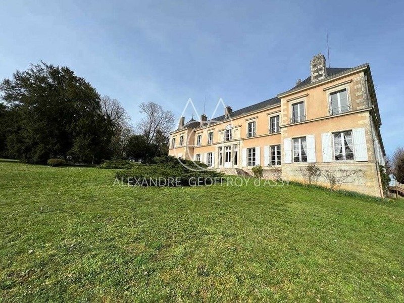 Castle in Saint-Sauvant, Nouvelle-Aquitaine, France 5 - 17241893