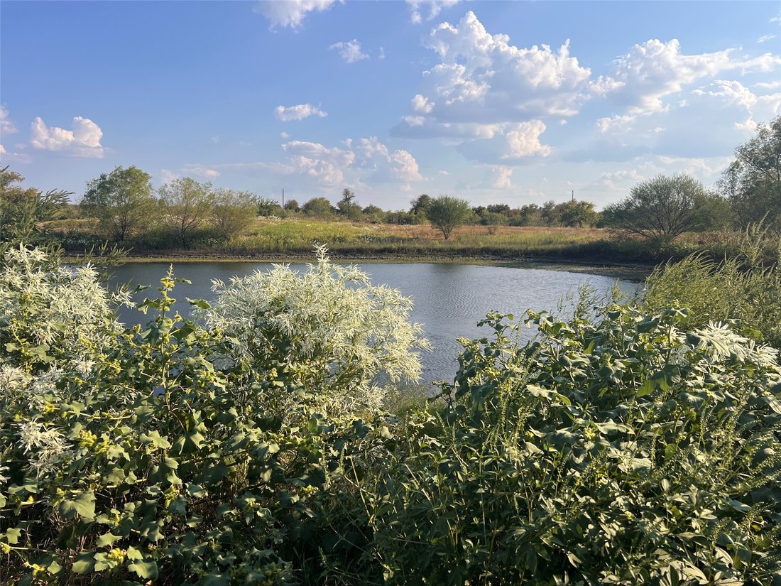 Rancho en Elgin, Texas, Estados Unidos 4 - 16889699