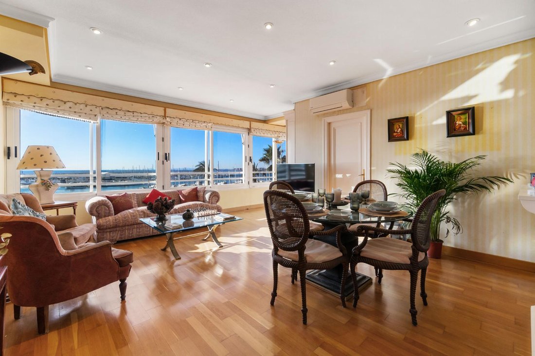 Apartment in Torrevieja, Valencian Community, Spain 3 - 17242590