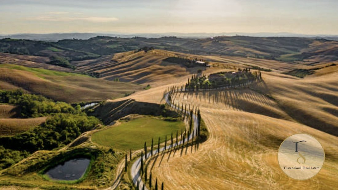 Azienda agricola a Montepulciano, Toscana, Italia 2 - 16708116